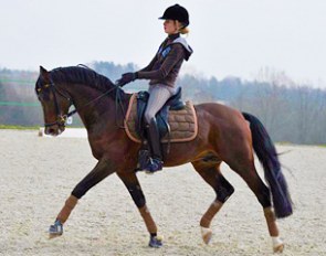 Bloklands Hoeve Mr Silvano