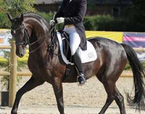 Sinfonia Monasteria (by Sandro Hit x Rubinstein x St. Cloud)