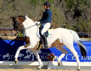 Grand Prix schoolmaster Smoky (by Samico x Rabanus)
