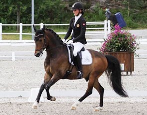 Untouchable II (by Verona's Gerswin x Urbino)