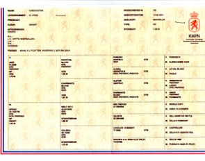 U-Rockstar's KWPN pedigree papers
