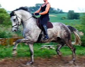 Olympic Grand Prix prospect Werbel Fstf