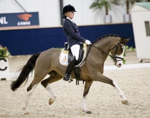Equiwi's Winston Special :: Photo © Digishots.nl