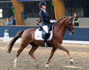 Keulse Hoeve's Zico :: Photo © Hans van Belle - Equifoto.nl