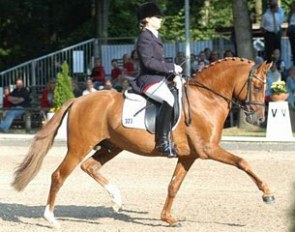 Dinarion (by FS Don't Worry x Parino B)