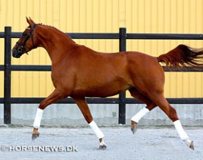Fyrstin Laura (by Fassbinder x Lauries Crusador xx)