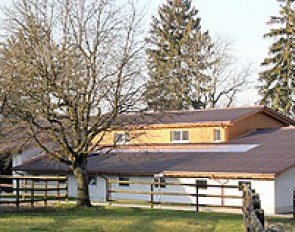 "Optimum Horses" near Zurich, Switzerland