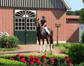 Sabine Rueben Equestrian in corporation with Gestut Sprehe