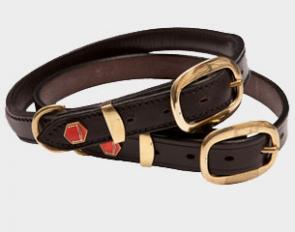 Albion dog collar