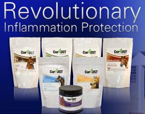 Cur-Ost :: Re-Think Joint Protection and Whole Body Repair