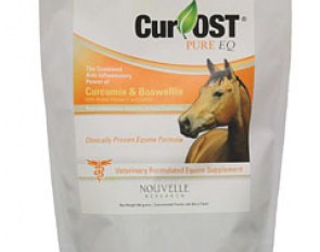 EQ Pure - Critical Anti-Inflammatory Formula :: The highest levels of curcumin, boswellia, vitamin C & CoQ10 for critical pain control.