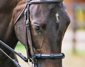 Equilibrium Net Relief Muzzle