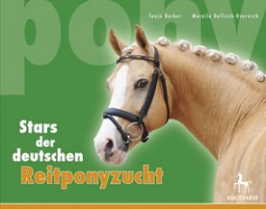 Stars of German Reitpony Breeding