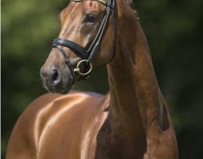 Don Juan de Hus (by Jazz x Krack C x Damiro)