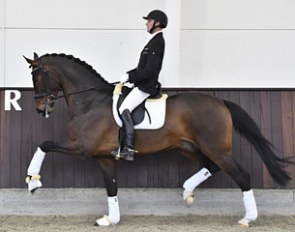 Revolution (by Rocky Lee x Rouletto x Wendenburg)