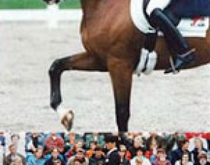 Gonnelien Rothenberger on Olympic Bo
