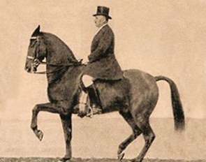 Otto Lorke, the father of modern German dressage presenting his version of a classic piaffe. Lorke maintains the poll higher, but the topline is less round and the croup less flexed, as it was the fashion in the early 20th century. 