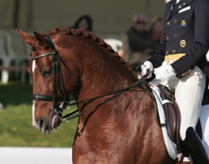 Patrik Kittel and Scandic at the 2009 CDI Hagen :: Photo © Astrid Appels