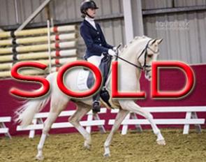 SOLD SOLD SOLD