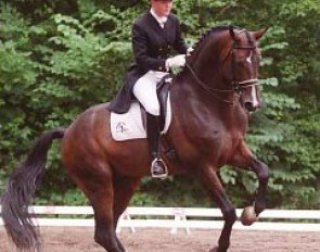 Blue Hors Romancier