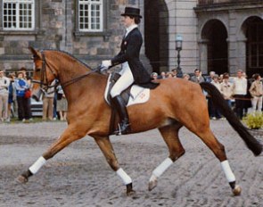 Anne Grethe Jensen and Marzog competing in Denmark :: Photo © Ridehesten.com