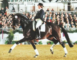 Miriam Henschke aboard the young Ex Libris at the Oldenburg Stallion Days :: Photo © Werner Ernst