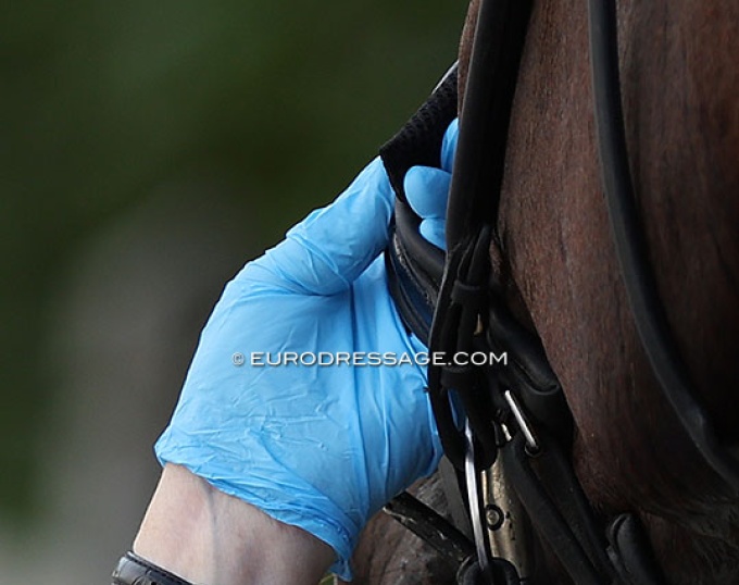The "old way" of checking noseband tightness by an FEI steward. As of 1 May 2025 a tool will be used that needs to fit under the noseband on top of the nasal bone :: Photo © Astrid Appels