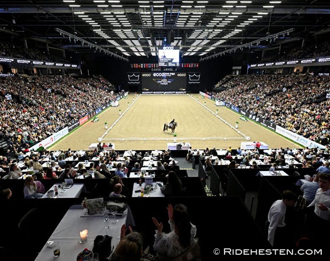 Full house at the 2025 Danish Warmblood Stallion Licensing and CSI/CDI Herning :: Photo © Ridehesten