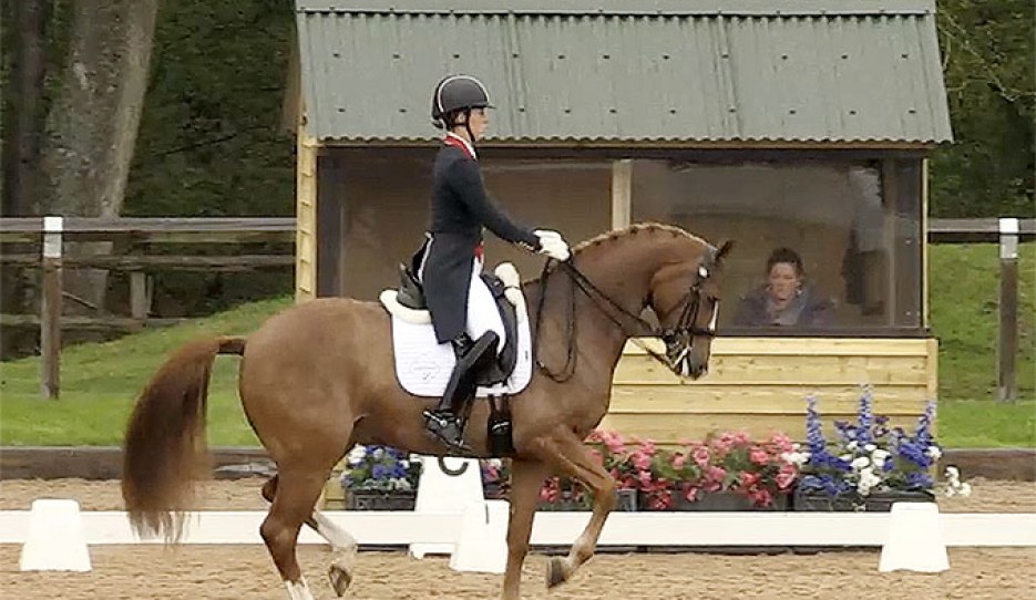 pics Charlotte Dujardin Gio 2021 2021 cdi wellington grand prix special