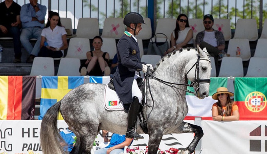 Roberto Brasil and Vila de Sagres' Lusitano stallion Hercules d'Atela at the 2022 CDI Camarma de Esteruelas :: Photo © Lily Forado
