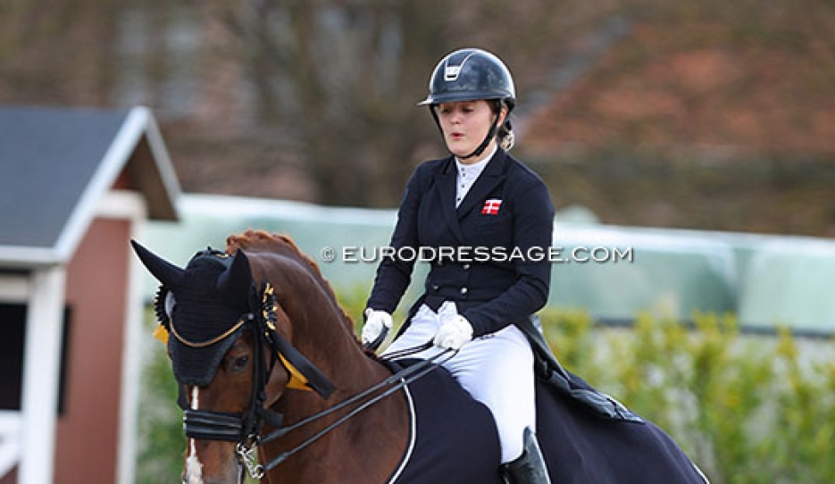 Thilde Rude Hare and Fred the Red at the 2022 CDI Sint-Truiden :: Photo © Astrid Appels