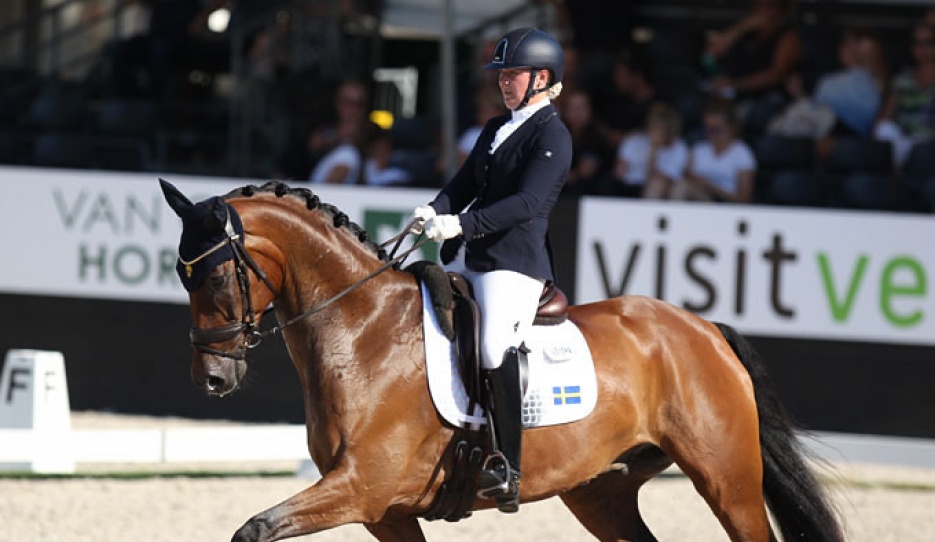 Mikaela Alderin-Danielsson and Hilus MHB at the 2018 World Young Horse Championships :: Photo © Astrid Appels