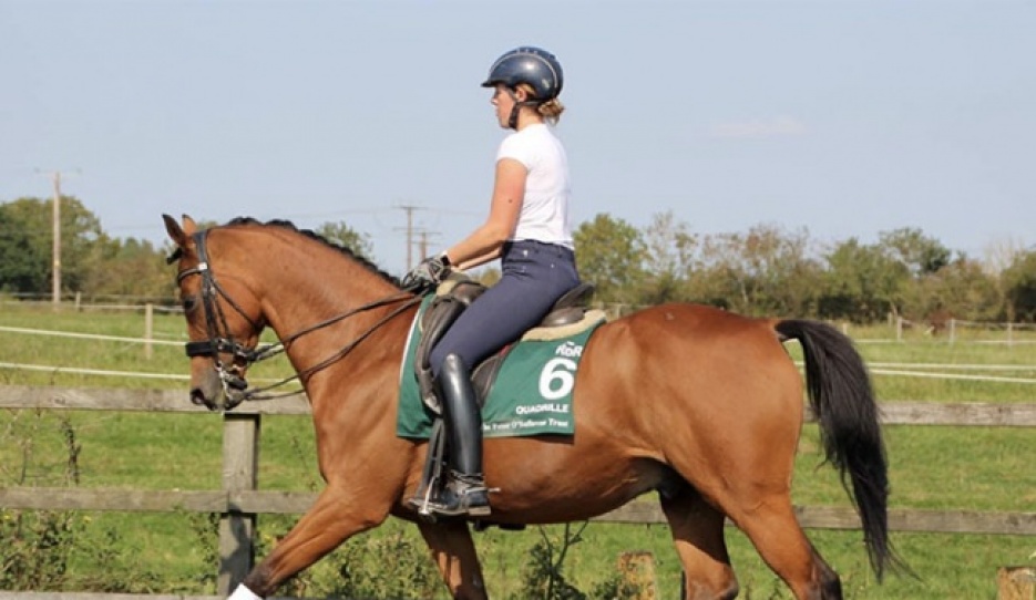 Louise Robson on Quadrille. This TB is bred and owned by the late HM Queen Elizabeth, and placed 2nd at Ascot before he became a winning Inter I horse under Robson.