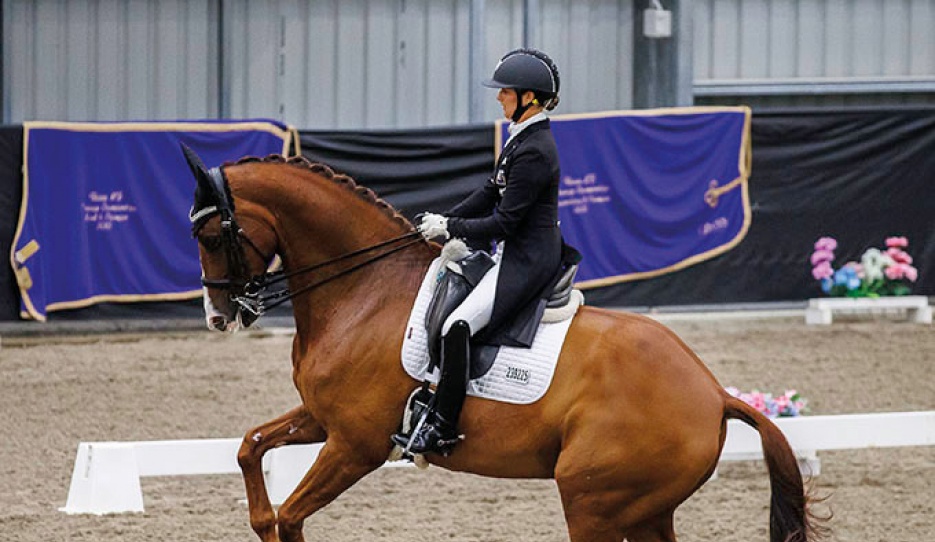 Melissa Galloway and Windermere J'Obei W at the 2023 New Zealand Dressage Championships in Taupo :: Photo © Your View Photography