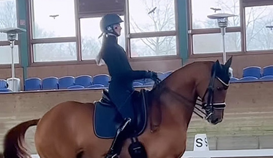 Semmieke Rothenberger and Farrington at the 2023 Piaff Forderpreis selection trial :: screen shot
