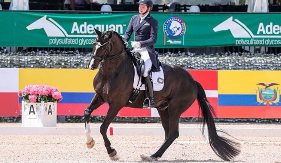 Kevin Kohmann and Dünensee at the 2023 CDI Wellington :: Photo © Sue Stickle