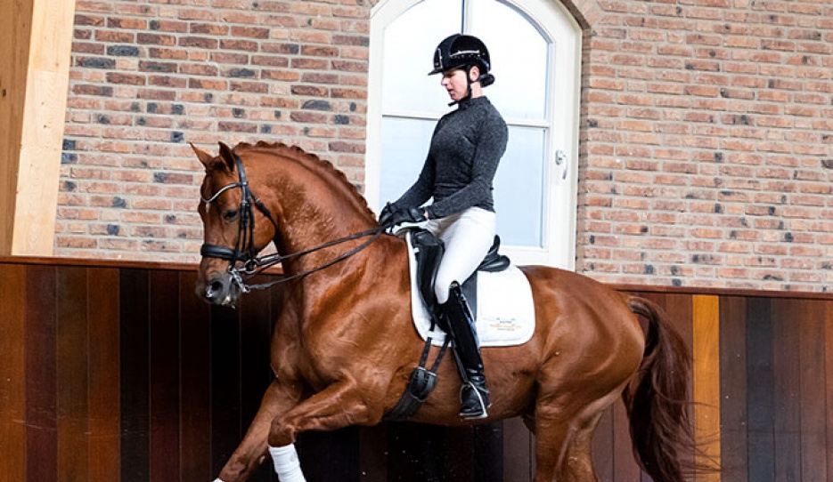 Express (by Vivaldi x Sir Sinclair)