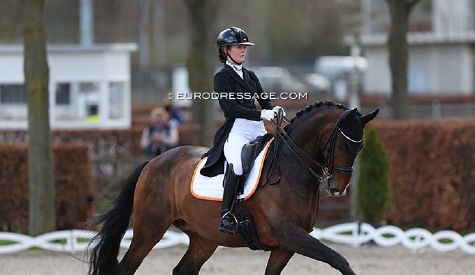 Yasmin Westerink and Dibert L at the 2023 Aachen Festival 4 Dressage :: Photo © Astrid Appels