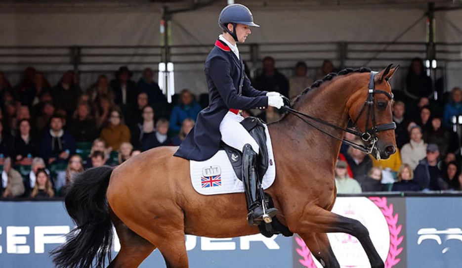 Lewis Carrier and Diego on a role at the 2023 CDI Windsor :: Photo © Daydream Equine Photography