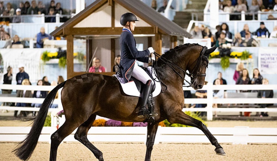 Ben Ebeling and Indeed at 2023 Dressage at Devon CDI-W :: Photo © Phelps Media Group