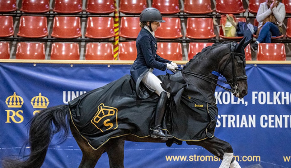 Third title in a row for Vendela Eriksdotter Rubin and Diploid (by Hesselhoj Donkey Boy x Topaasch) at the Swedish Warmblood Young Horse Championships :: Photo © Kim Lundin