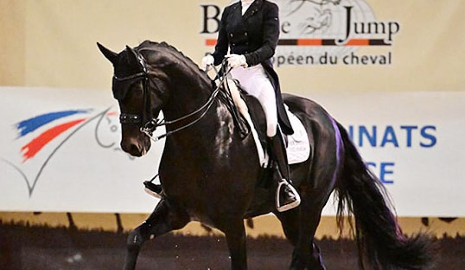 Claudia Chauchard and Apachi van de Biebosschen Win 2023 French 7-Year Old Championship :: Photo © Les Garennes