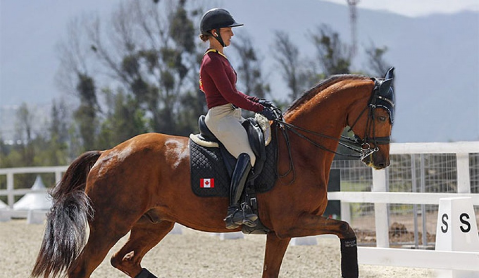 Mathilde Blais Tetreault schooling Fedor at the 2023 Pan American Games in Chile :: Photo © Cealy Tetley