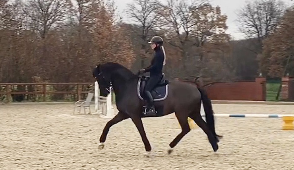 Solimann training at home with Lena Waldmann
