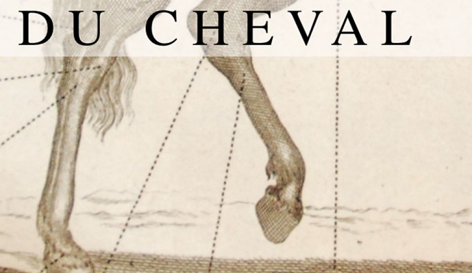 La Bibliothèque Mondiale du Cheval 