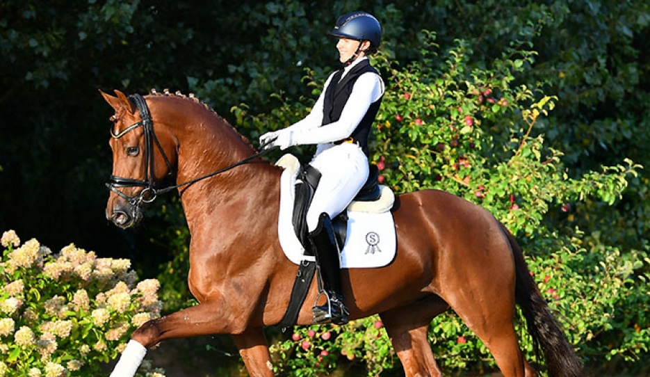 Viniro (by Vitalis x De Niro x Wanderbusch)