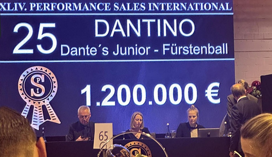 The top price of 1,200,000 euro was paid for dressage horse Dantino in the 2023 PSI Auction