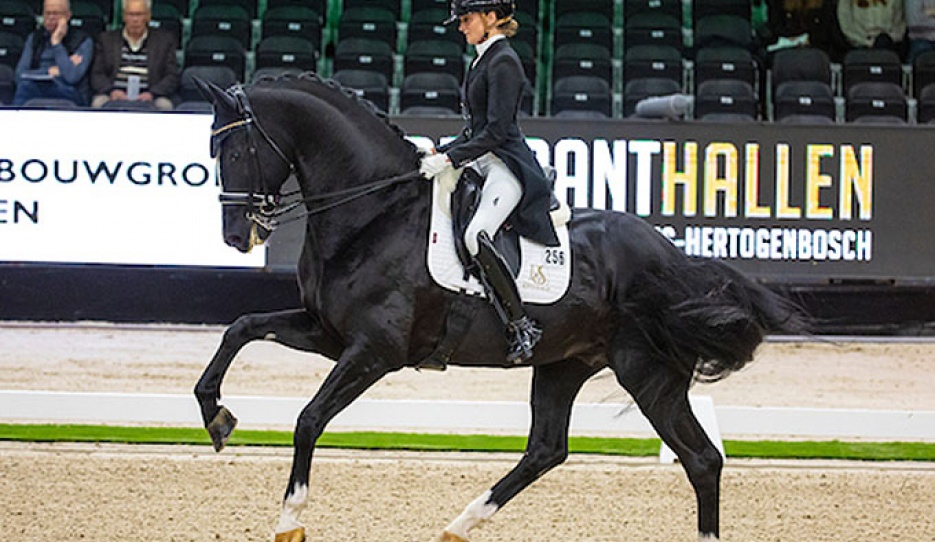 Marieke van der Putten and Jameson at the stallion's international small tour debut at the CDI-W 's Hertogenbosch in March 2023 :: Photo © Digishots