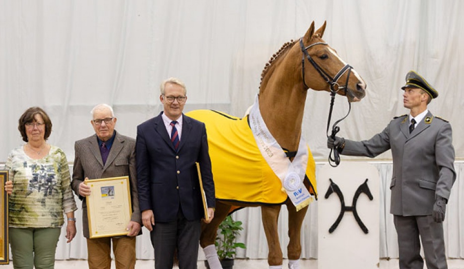 Edward is the Hanoverian Stallion of the Year 2023 :: Photo © Hannoveraner verband