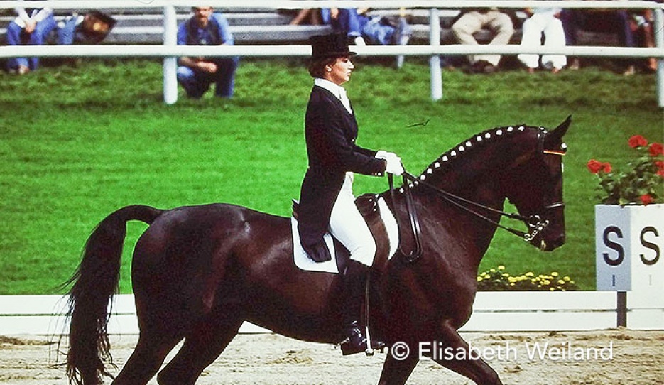 Gabriela Grillo and Ultimo at the 1977 European Championships :: Photos © Elisabeth Weiland
